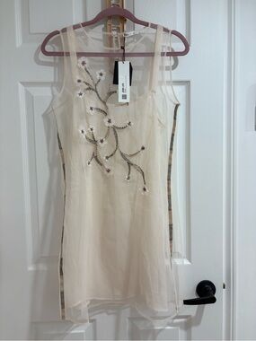 Zara Embroidered Tulle Mesh Mini Dress Ivory NWT